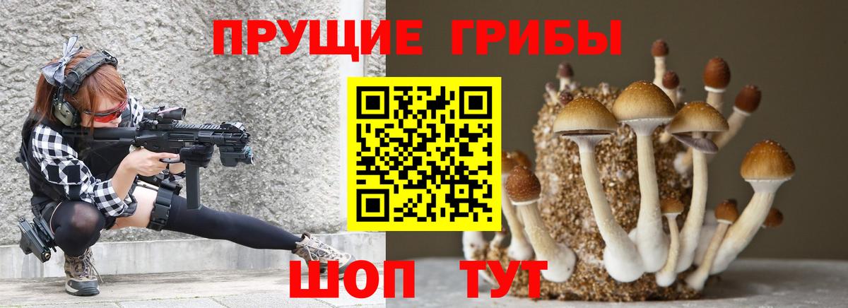 Галлюциногенные грибы ЛСД  Галлюциногенные грибы Psilocybine cubensis  Абакан  цена   Вход с VPN 